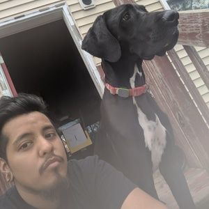 Meet your Posher, Florence